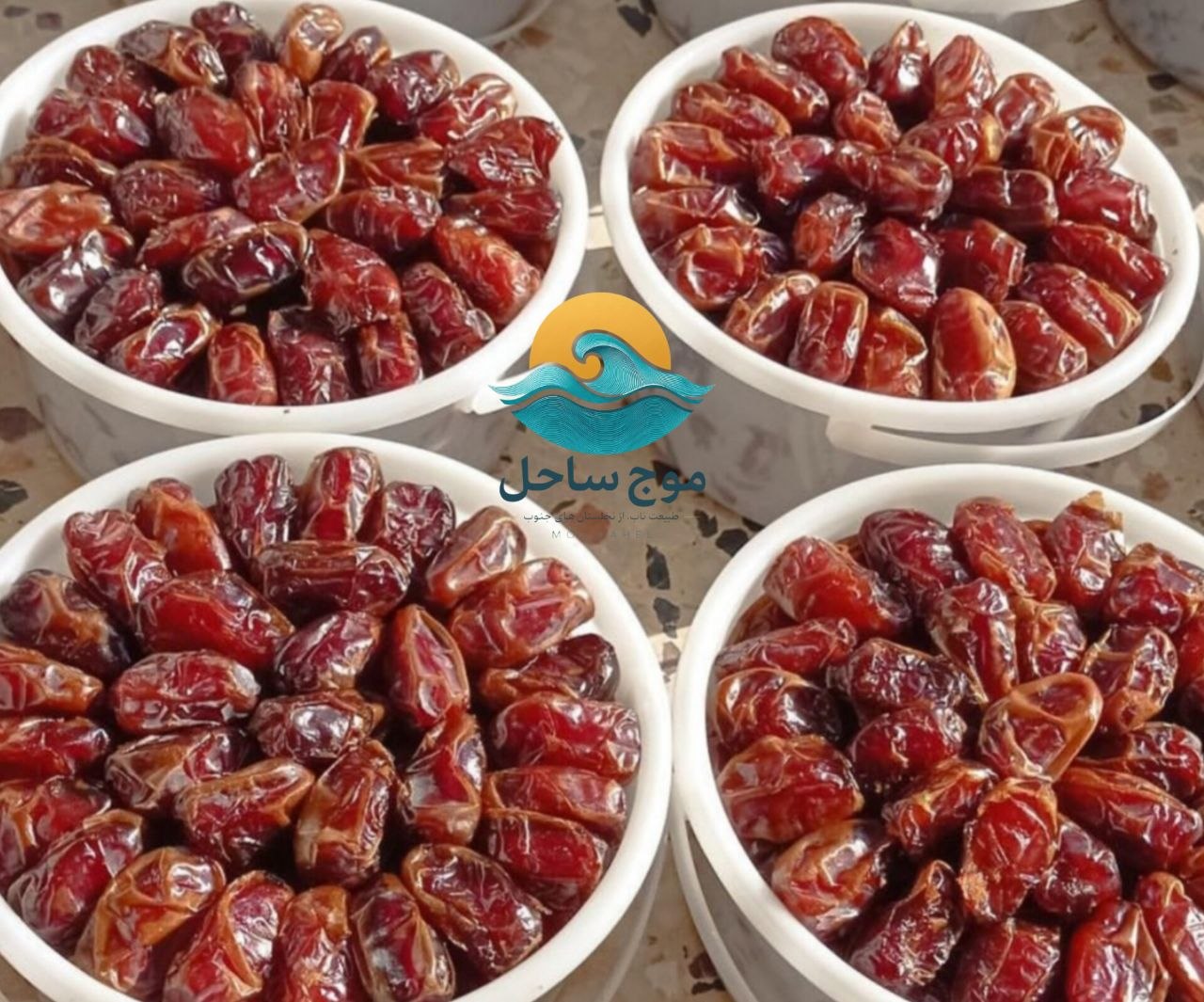 خرما کبکاب ۲ کیلویی سطلی موج ساحل 1 خرما کبکاب 2 کیلویی