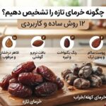 چگونه خرمای تازه را تشخیص دهیم؟ ۱۲ روش ساده و کاربردی 1 خرمای تازه بوشهر موج ساحل