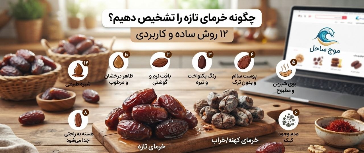 خرمای تازه بوشهر موج ساحل